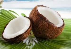 코코넛향