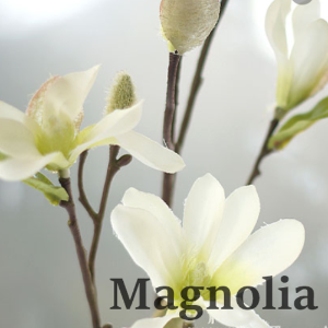 매그놀리아 목련꽃 프래그런스오일 100ml
