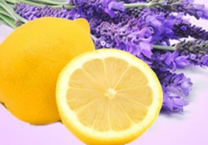 레몬라벤더